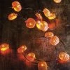 Best Pirce 🎁 Traditions Pumpkin Wire Lights ⌛ -Traditions Shop PK29309