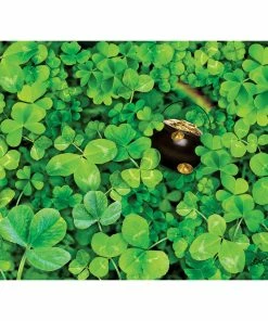 Budget 🔥 Traditions Shamrock Challenge Puzzle 💯