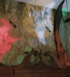 Discount 🥰 Traditions 🦇 Halloween Rotating Image Projector 🌟 -Traditions Shop Projector20Gif