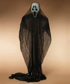 Best reviews of 🎁 Traditions Black Lighted Fabric Hanging Ghost ⌛