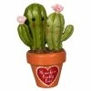 Deals 🛒 Traditions Valentine Prickly Pair Cacti ⭐ -Traditions Shop TD1126