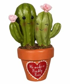 Deals 🛒 Traditions Valentine Prickly Pair Cacti ⭐